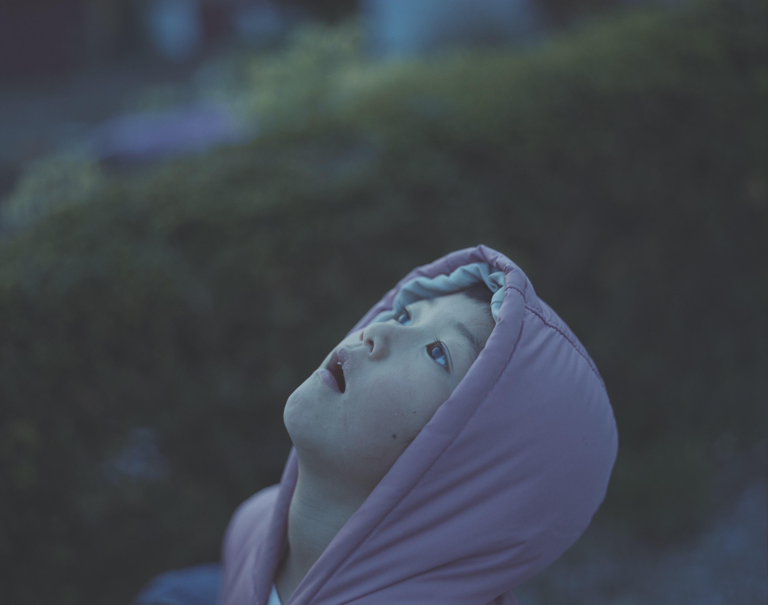 続　日々の隙間　2018