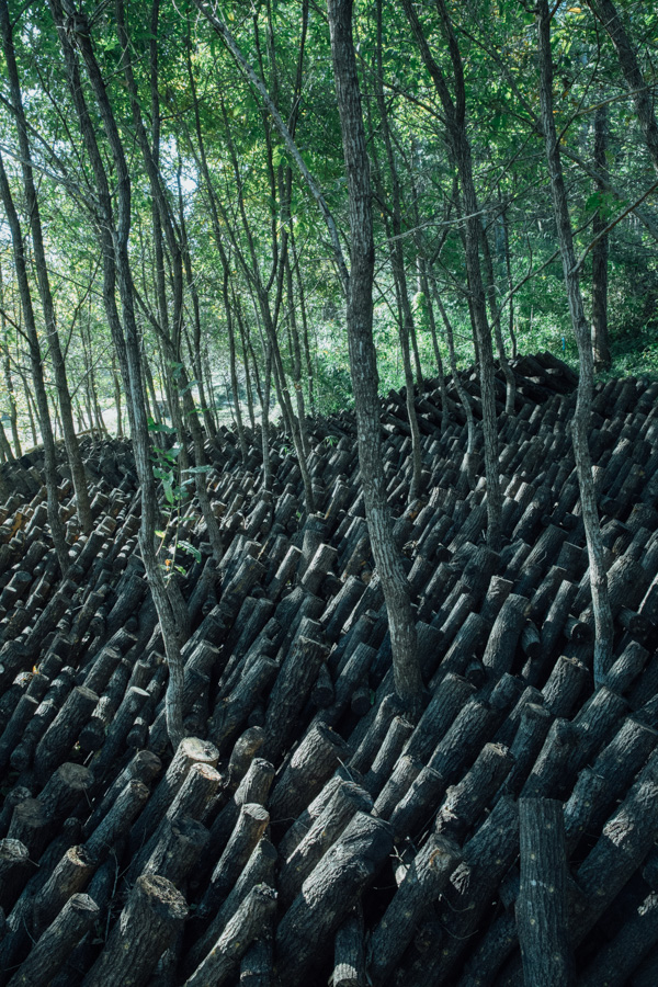 【連載】dancyu 『食の絶滅危惧種』