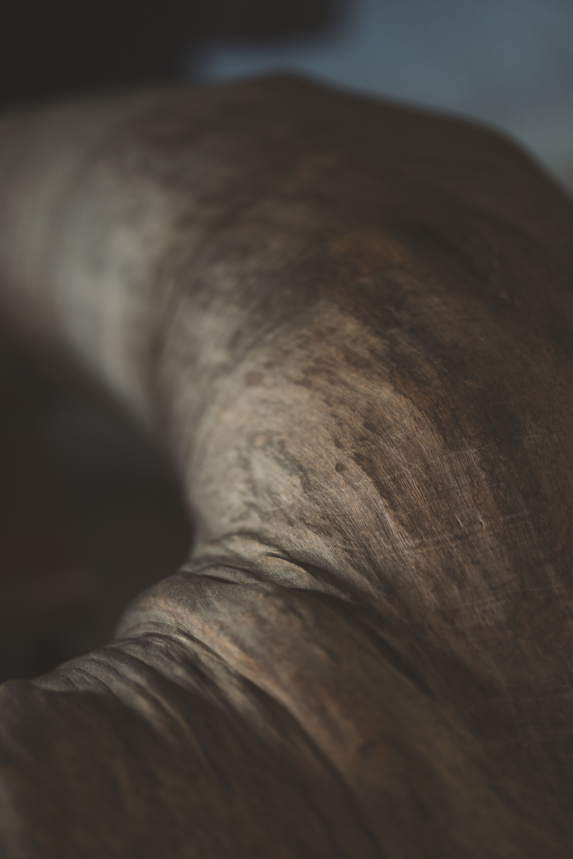 Jurgen Lehl & Babaghuri 2023-24 Winter Collection Womens