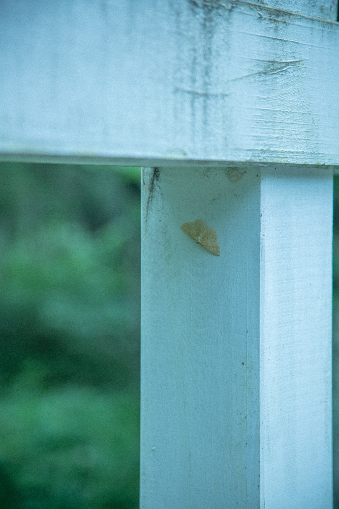 lenox 時間と人の気配