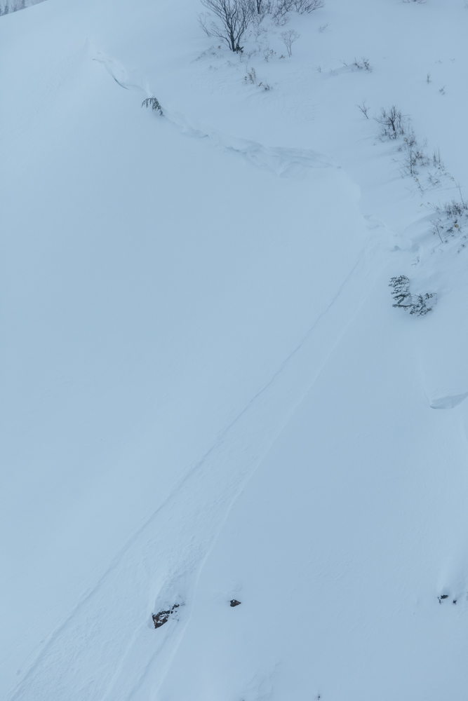 Liart Vol.22  Winter Back Country