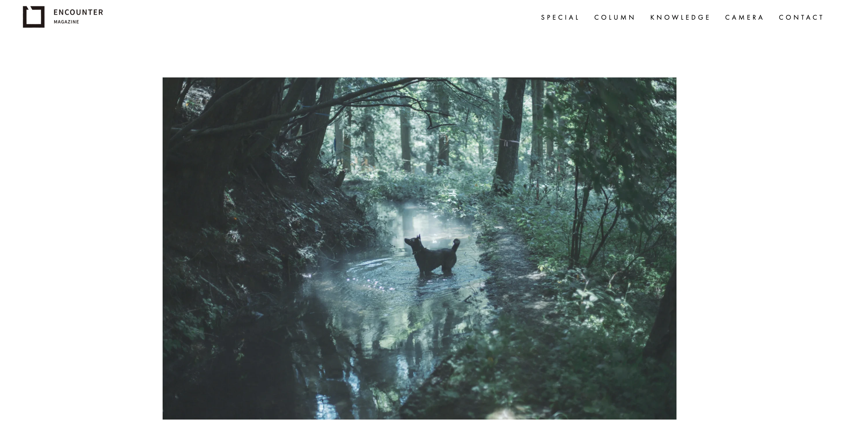 【掲載】『ENCOUNTER MAGAZINE』COLUMN 〜ただ、足元を見つめる#写真家放談〜