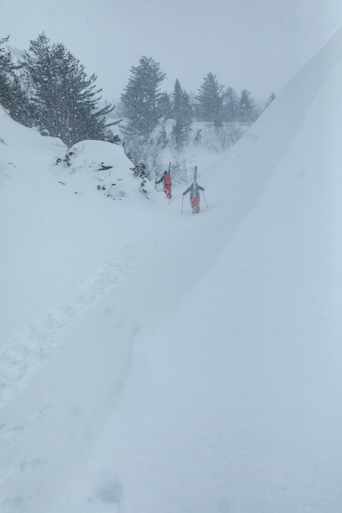 Liart Vol.22  Winter Back Country