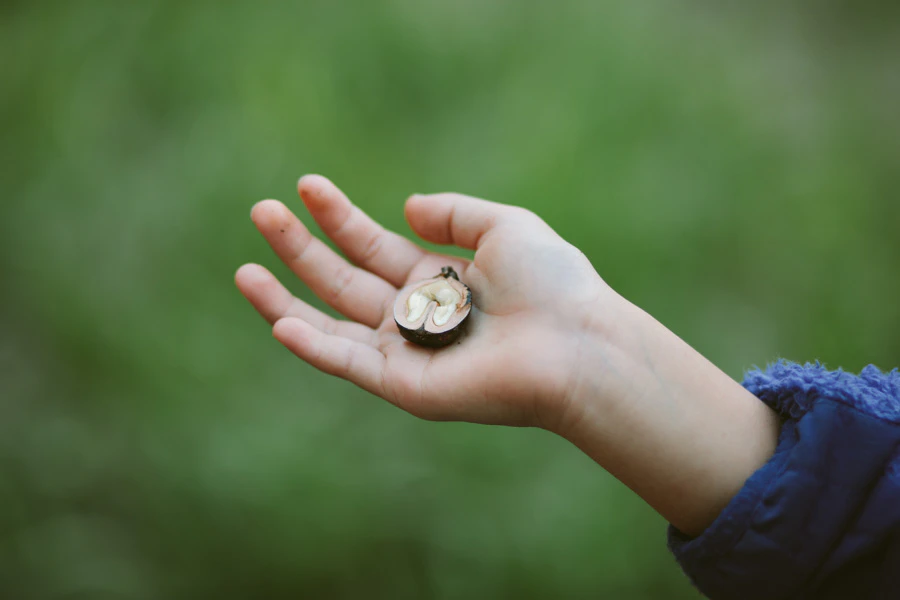 くるみと秋の夜長。