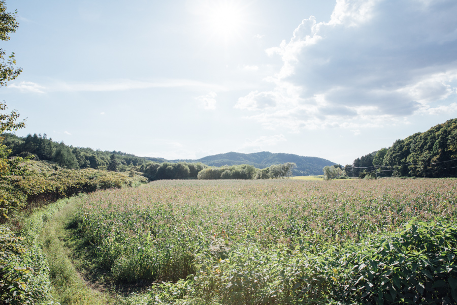 【連載】dancyu 『食の絶滅危惧種』