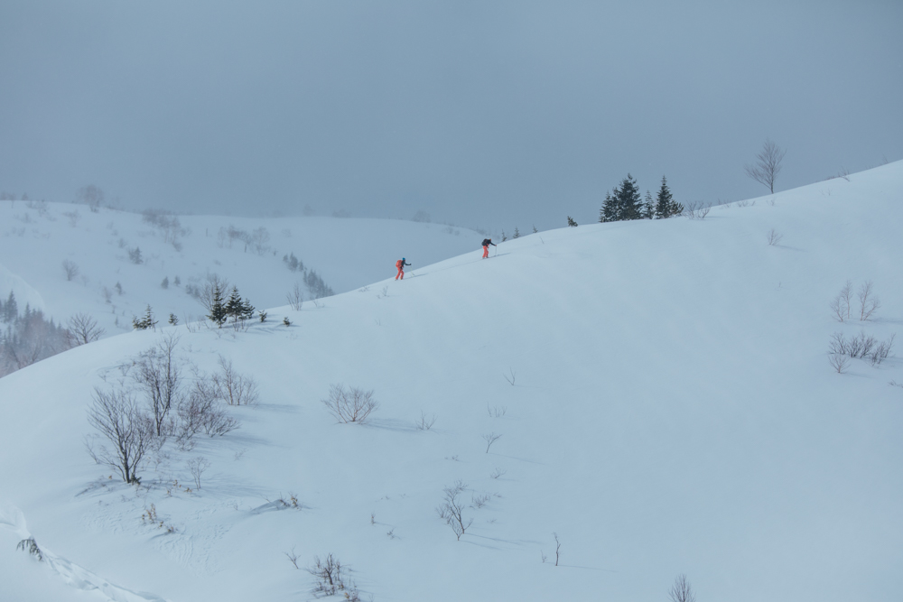 Liart Vol.22  Winter Back Country