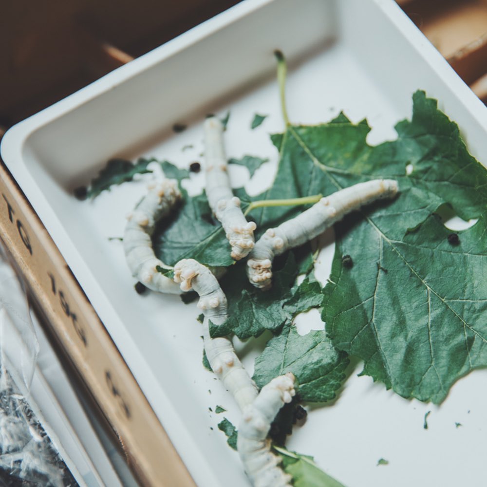 机の上の幻想風景