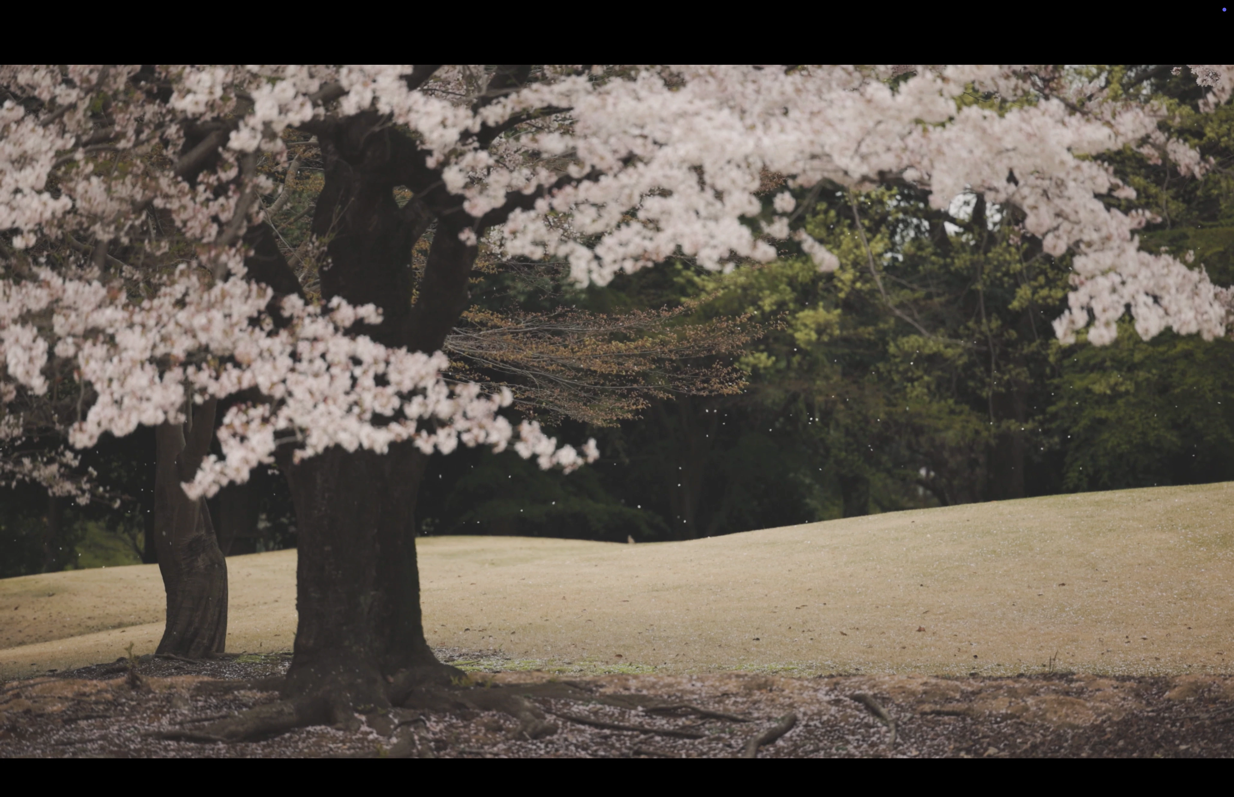 2024「JOSHIBI」 Joshibi University of Art and Design Movie