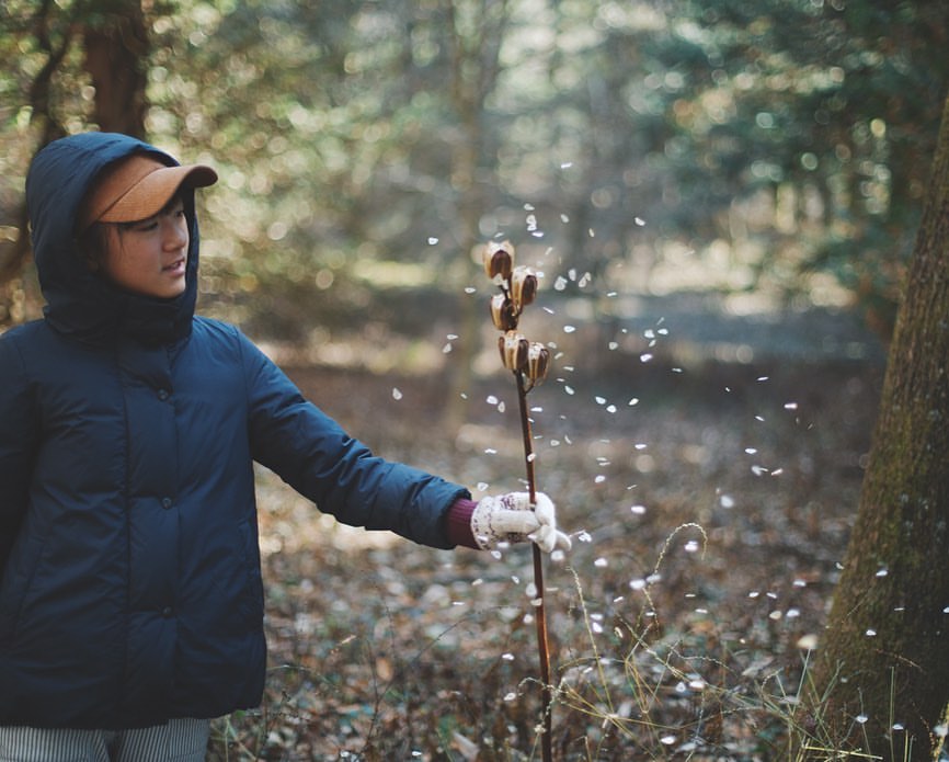 家族でいつもの森へ。