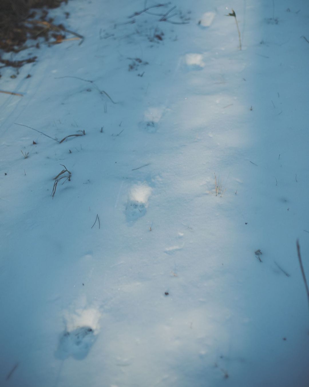 まっさらな道で