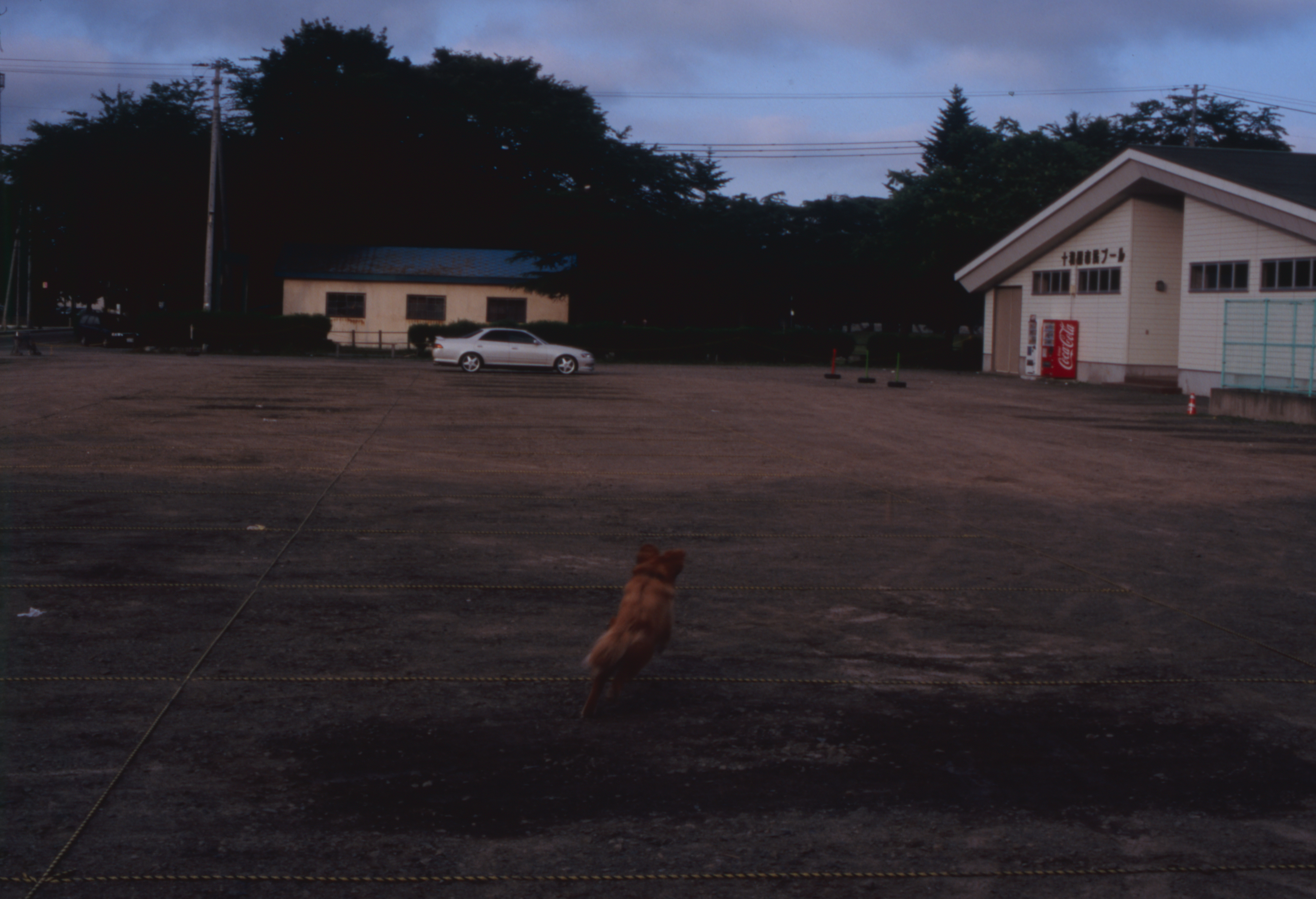 日々の隙間　2005