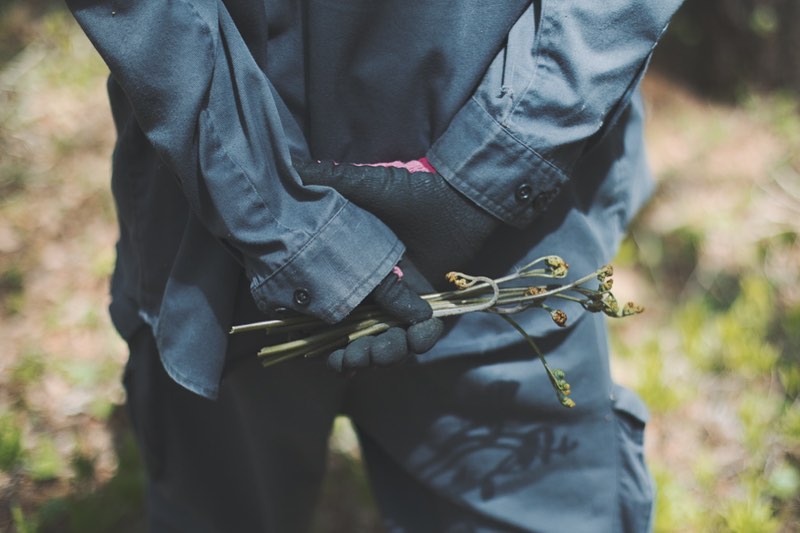 山菜釣りツアー。