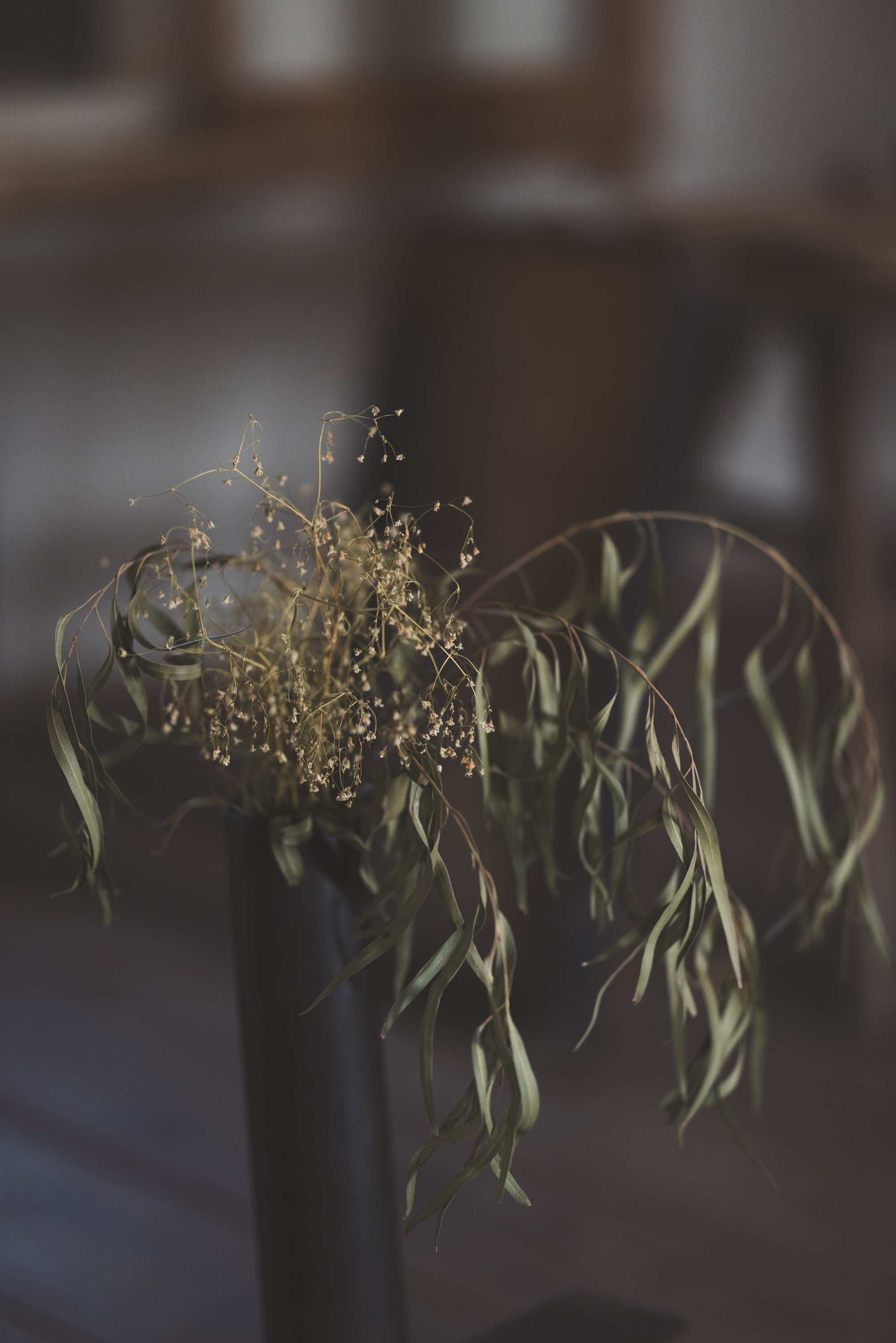 Jurgen Lehl & Babaghuri 2023-24 Winter Collection Womens