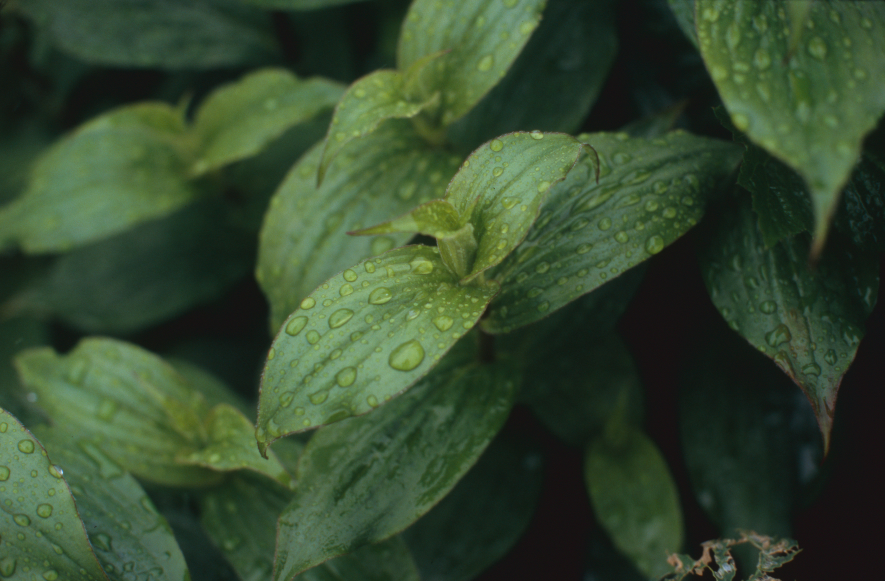 日々の隙間　2005