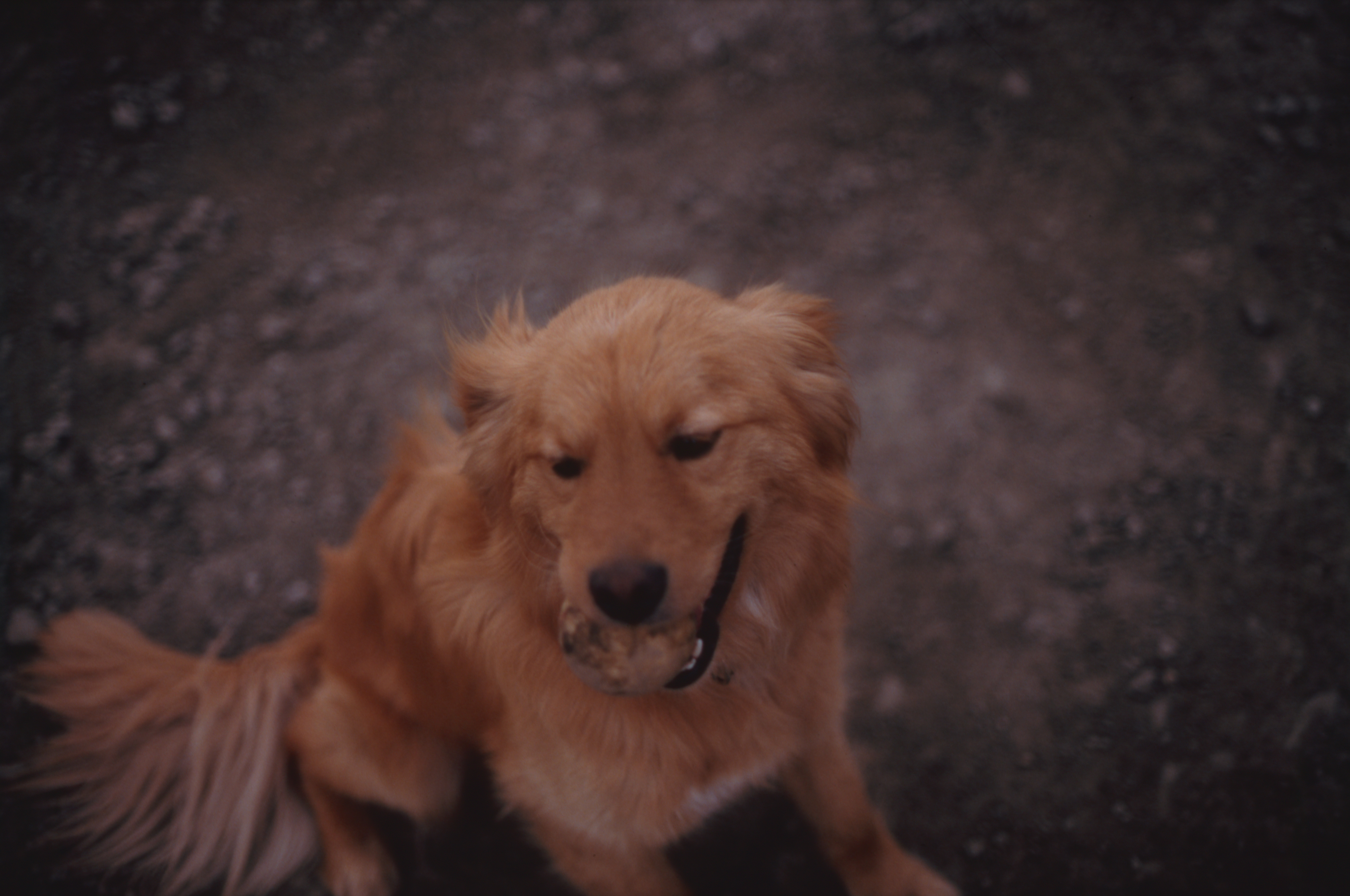 日々の隙間　2005