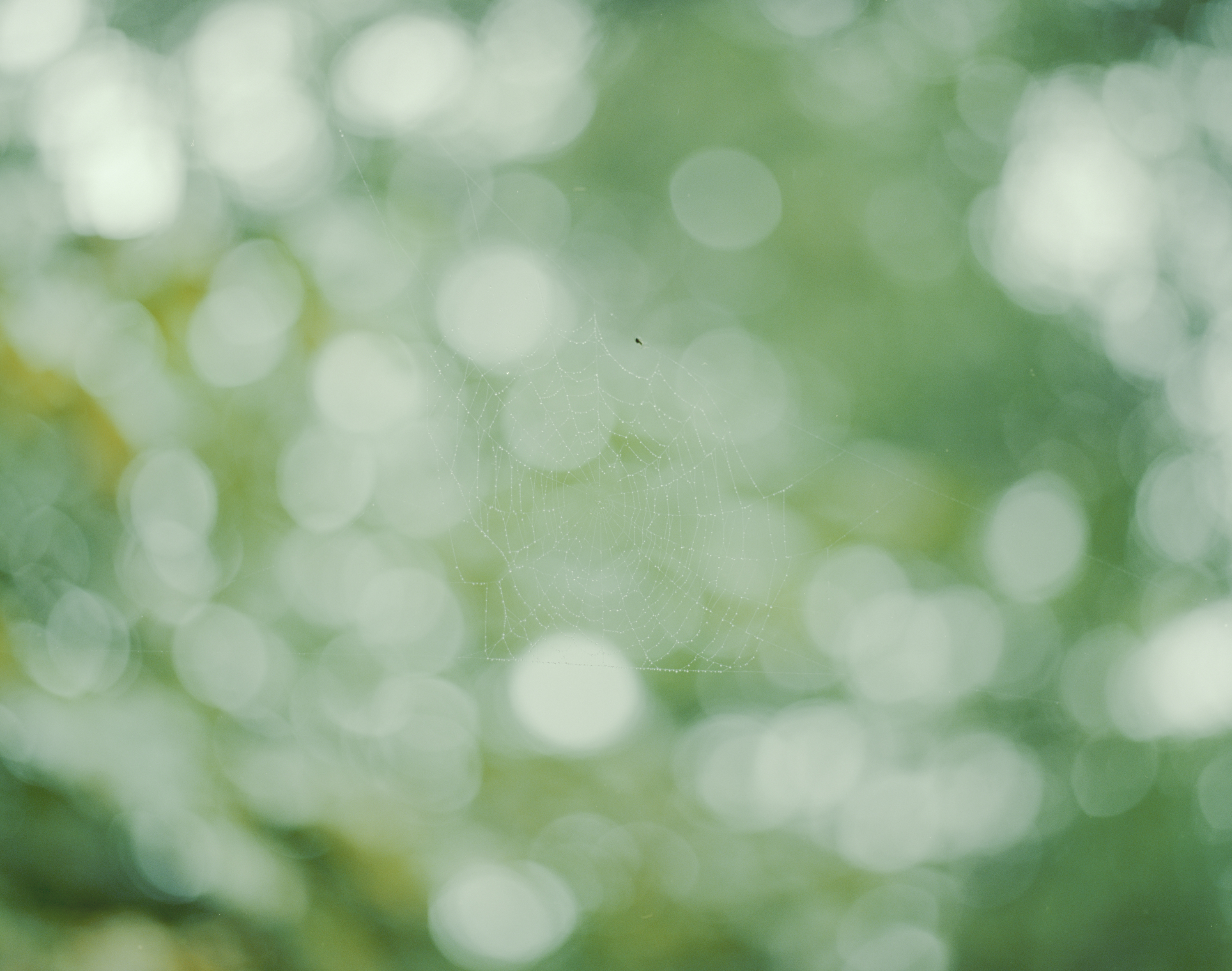 続　日々の隙間　2018