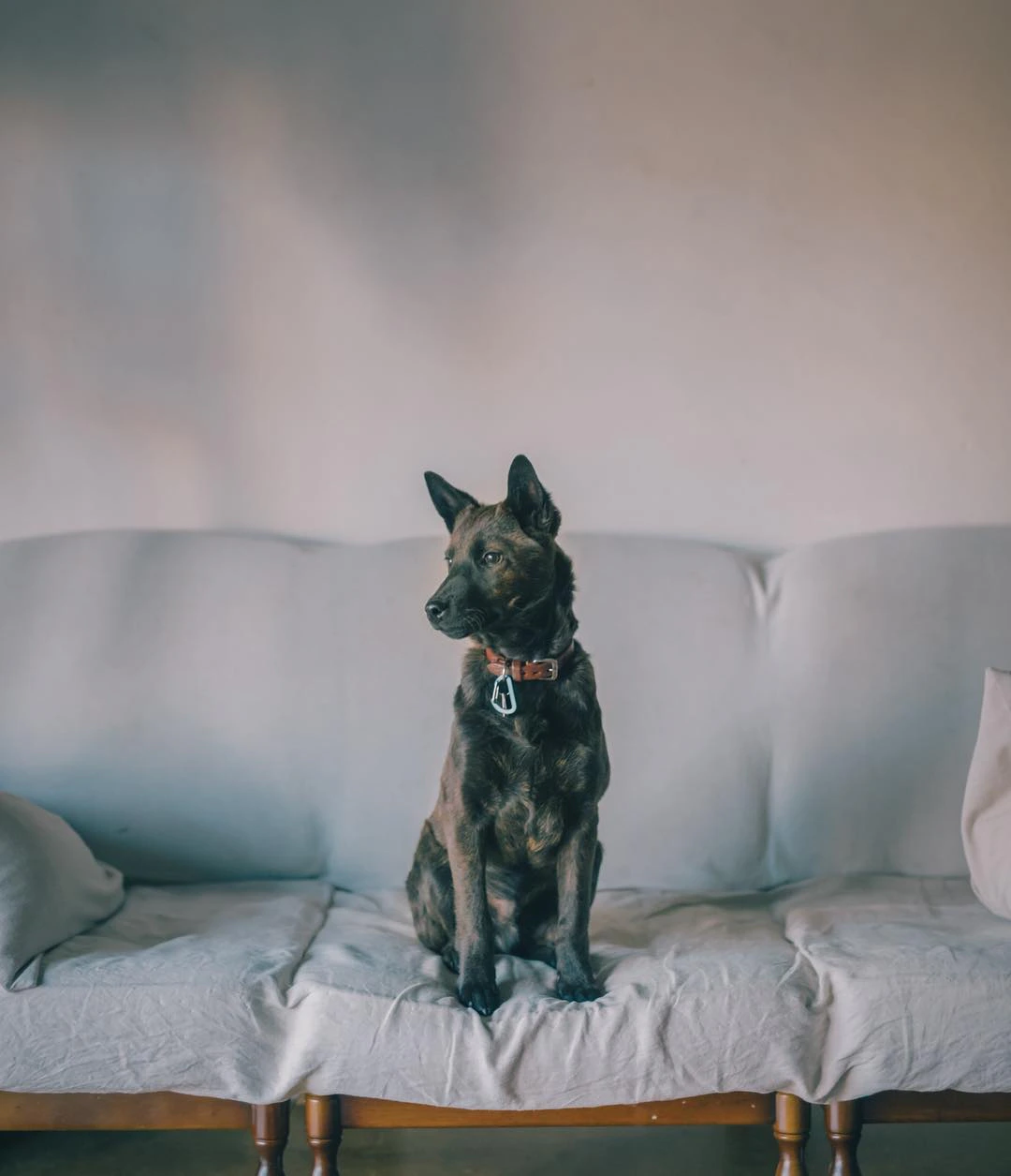 ポートレート。