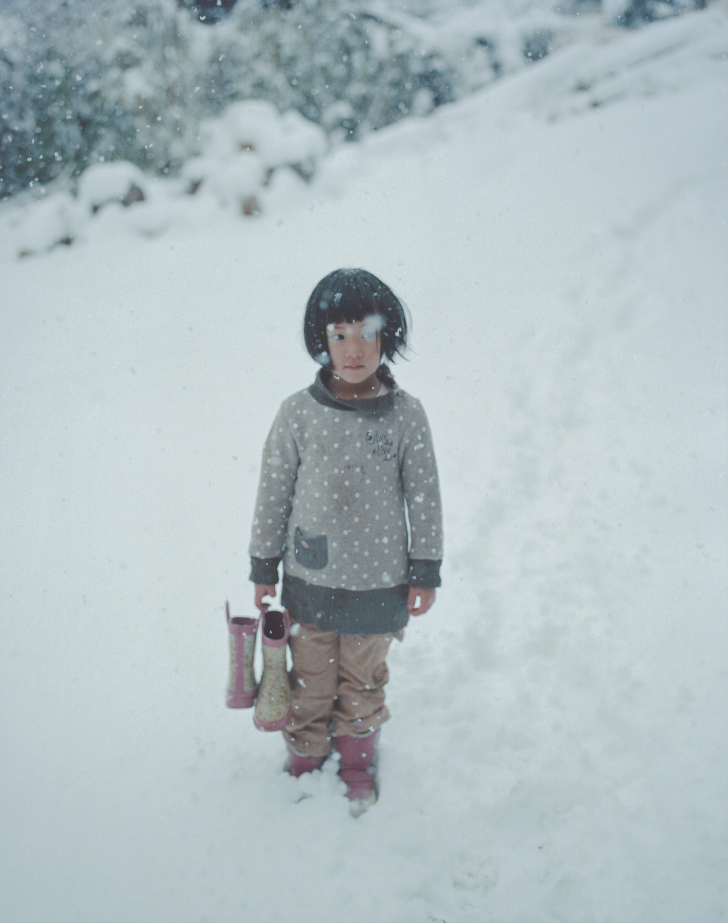 続　日々の隙間　2018