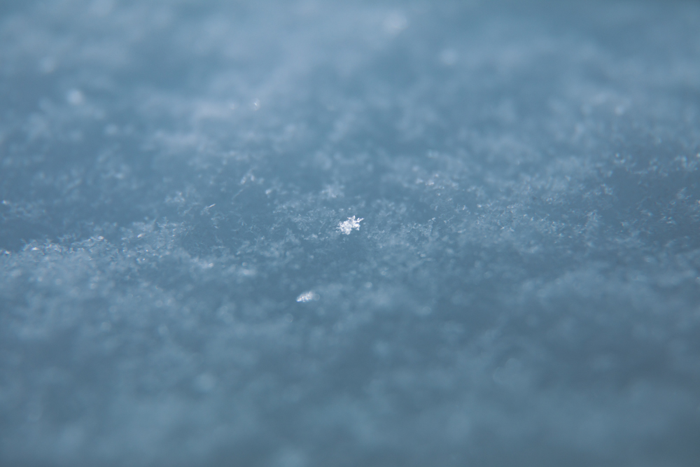 Liart Vol.22  Winter Back Country