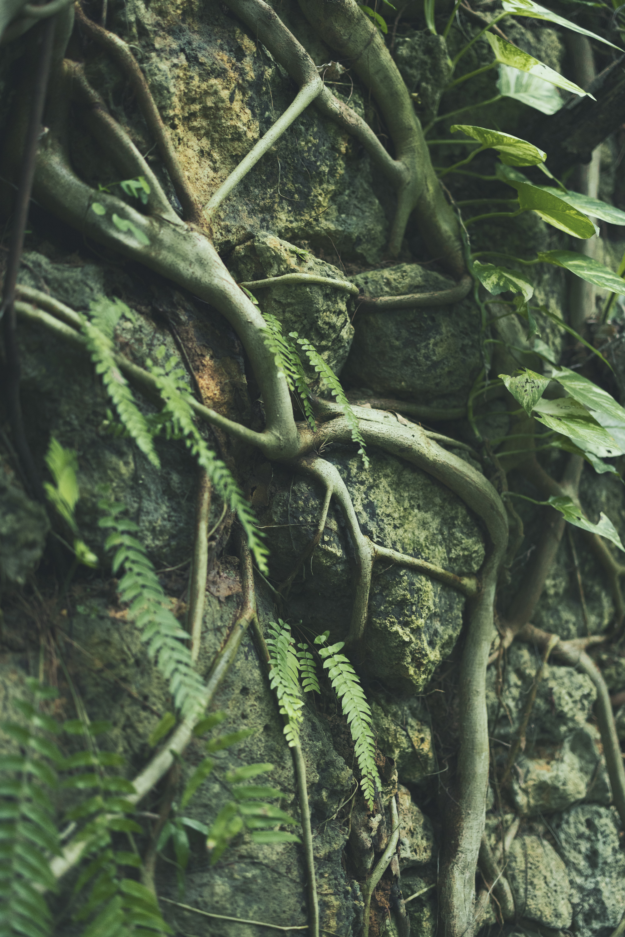 Jurgen Lehl & Babaghuri 2022 summer Collection