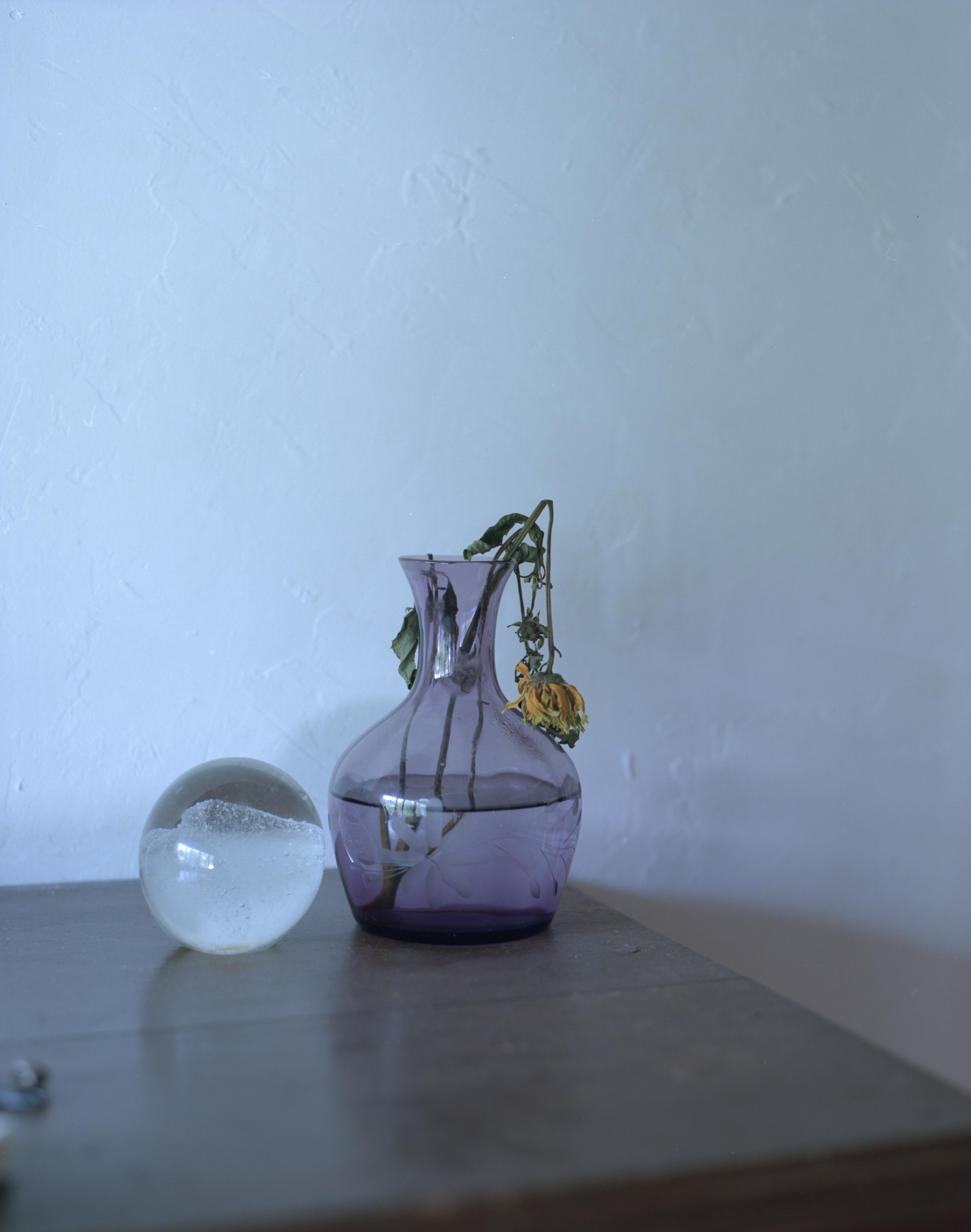 続　日々の隙間　2018