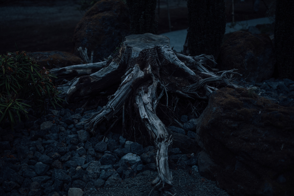 yl&Co.Hotel in Mt.Fuji