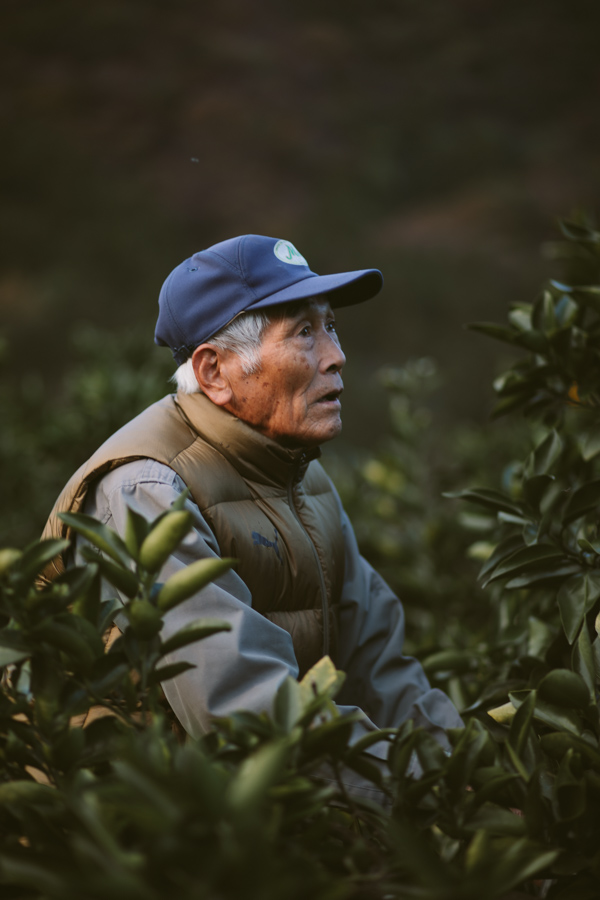 【連載】dancyu 『食の絶滅危惧種』