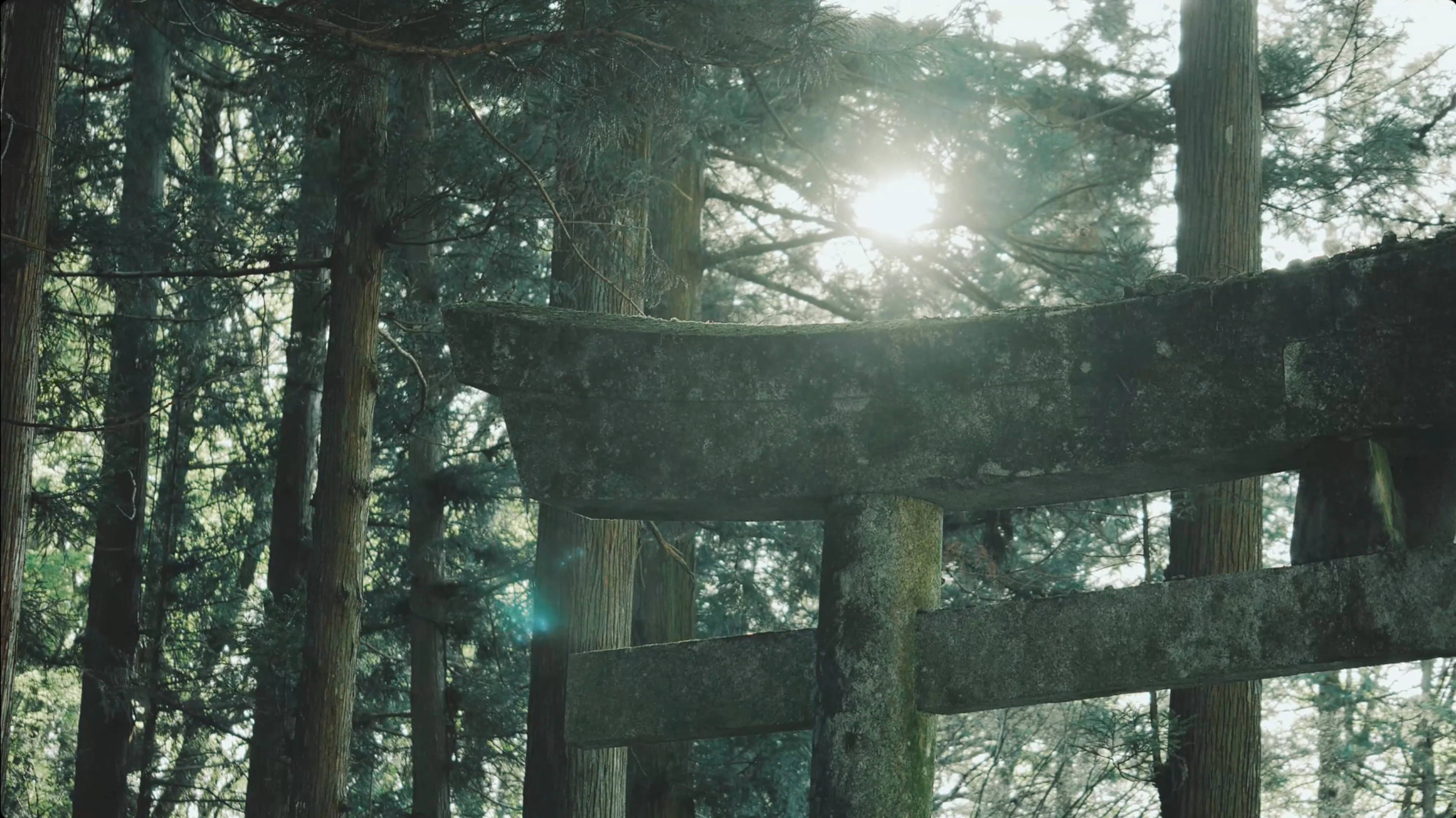 七賢 水のゆくすえ