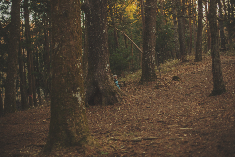 森で過ごす日々。
