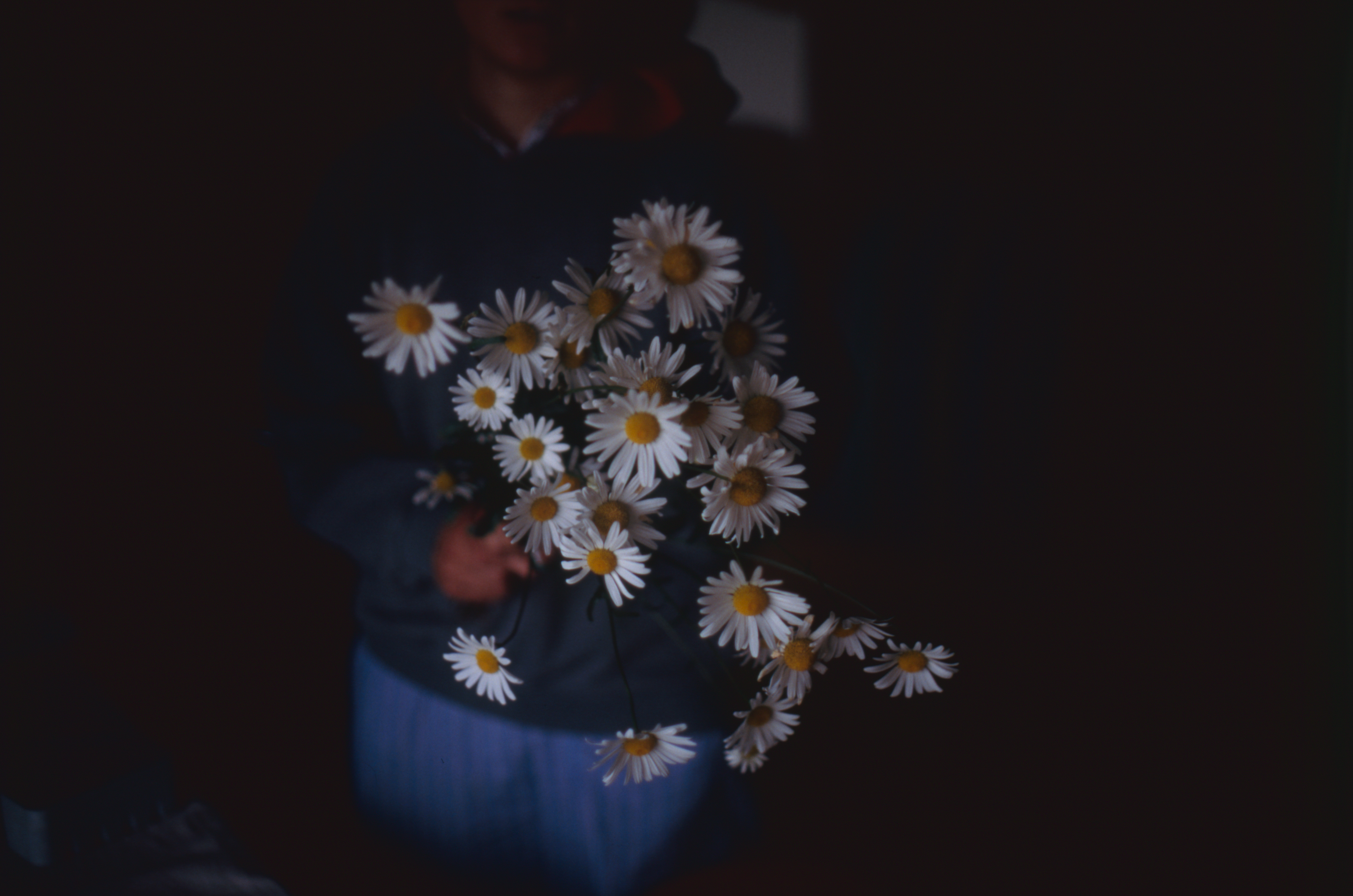 日々の隙間　2005