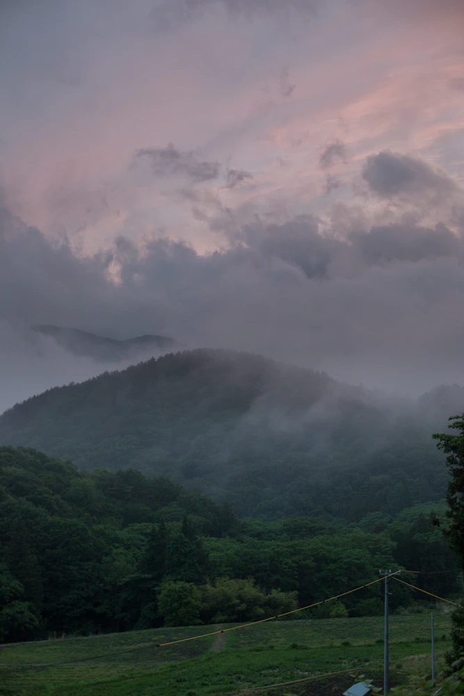 近所の森へ冒険に。