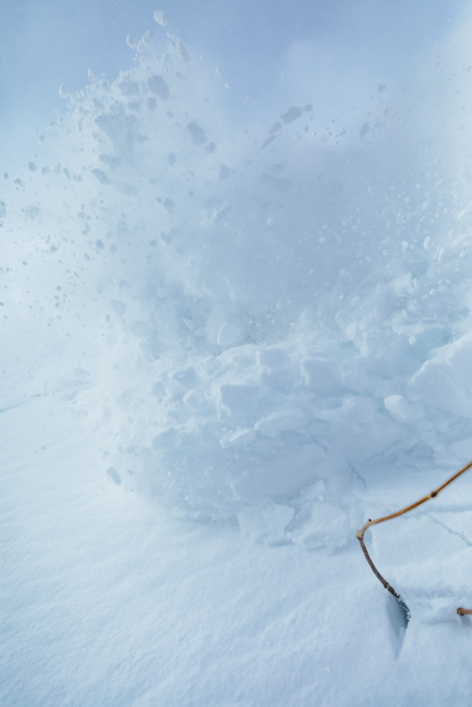 Liart Vol.22  Winter Back Country