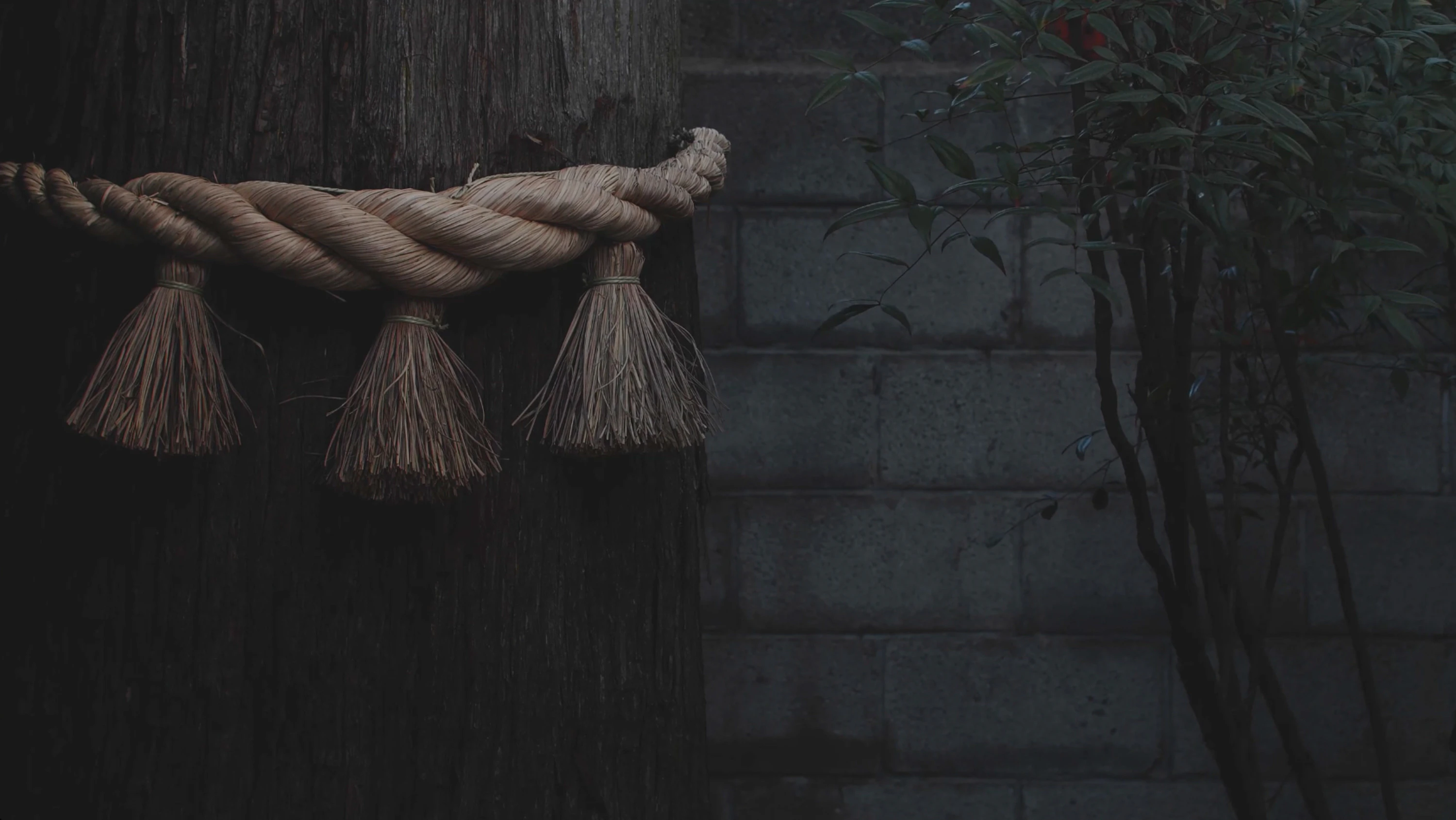 七賢 水のゆくすえ