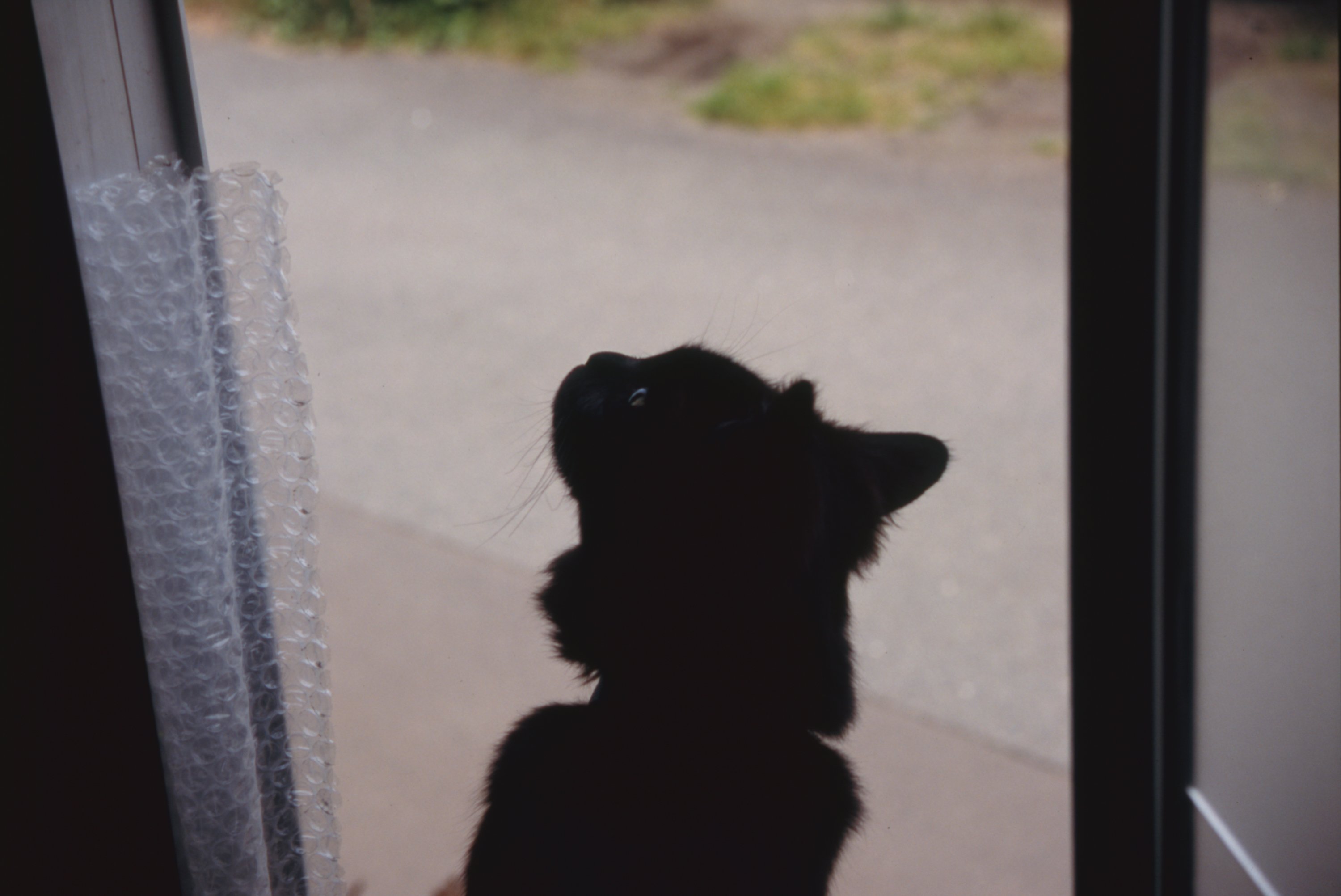 日々の隙間　2005