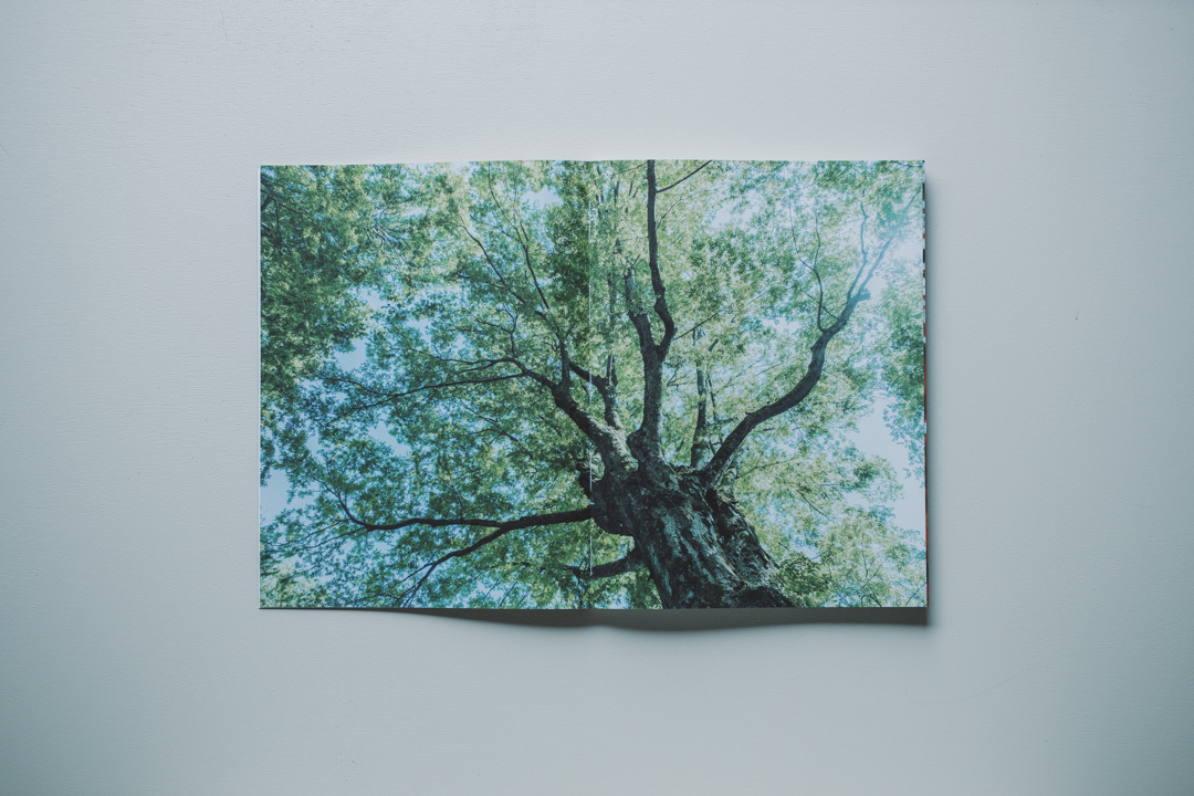 岐阜造園「つくりかたの約束」