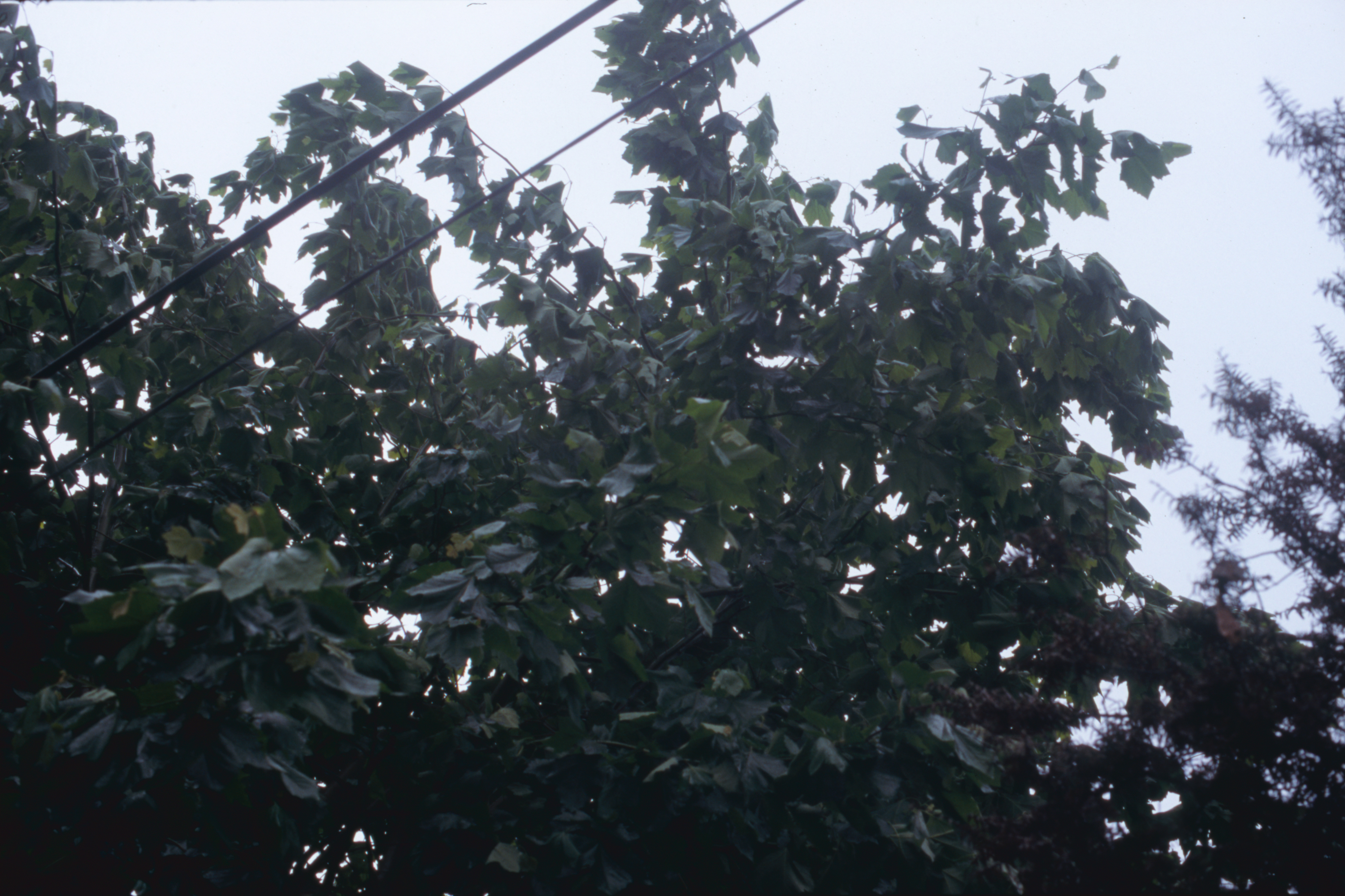 日々の隙間　2005