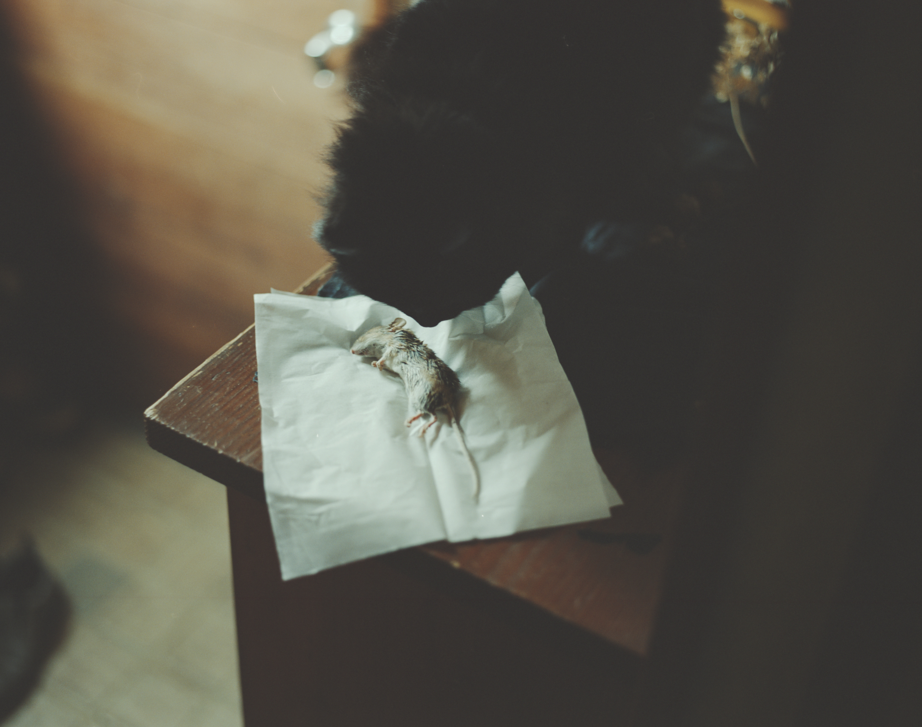 続　日々の隙間　2018