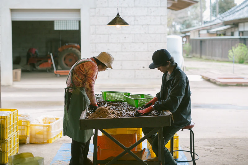四万騎農園の春。