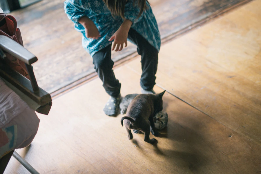 はると一日、家で。