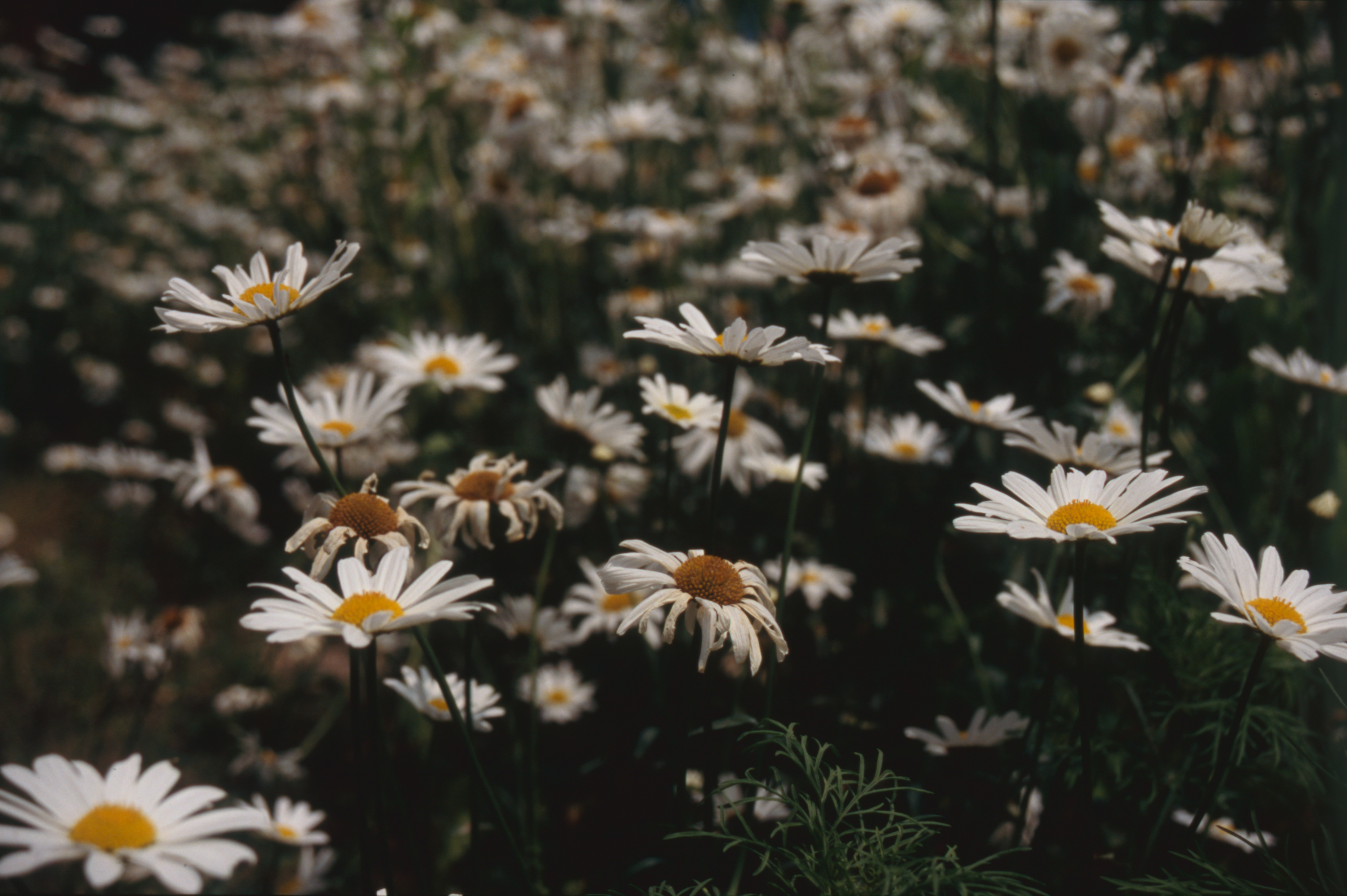 日々の隙間　2005