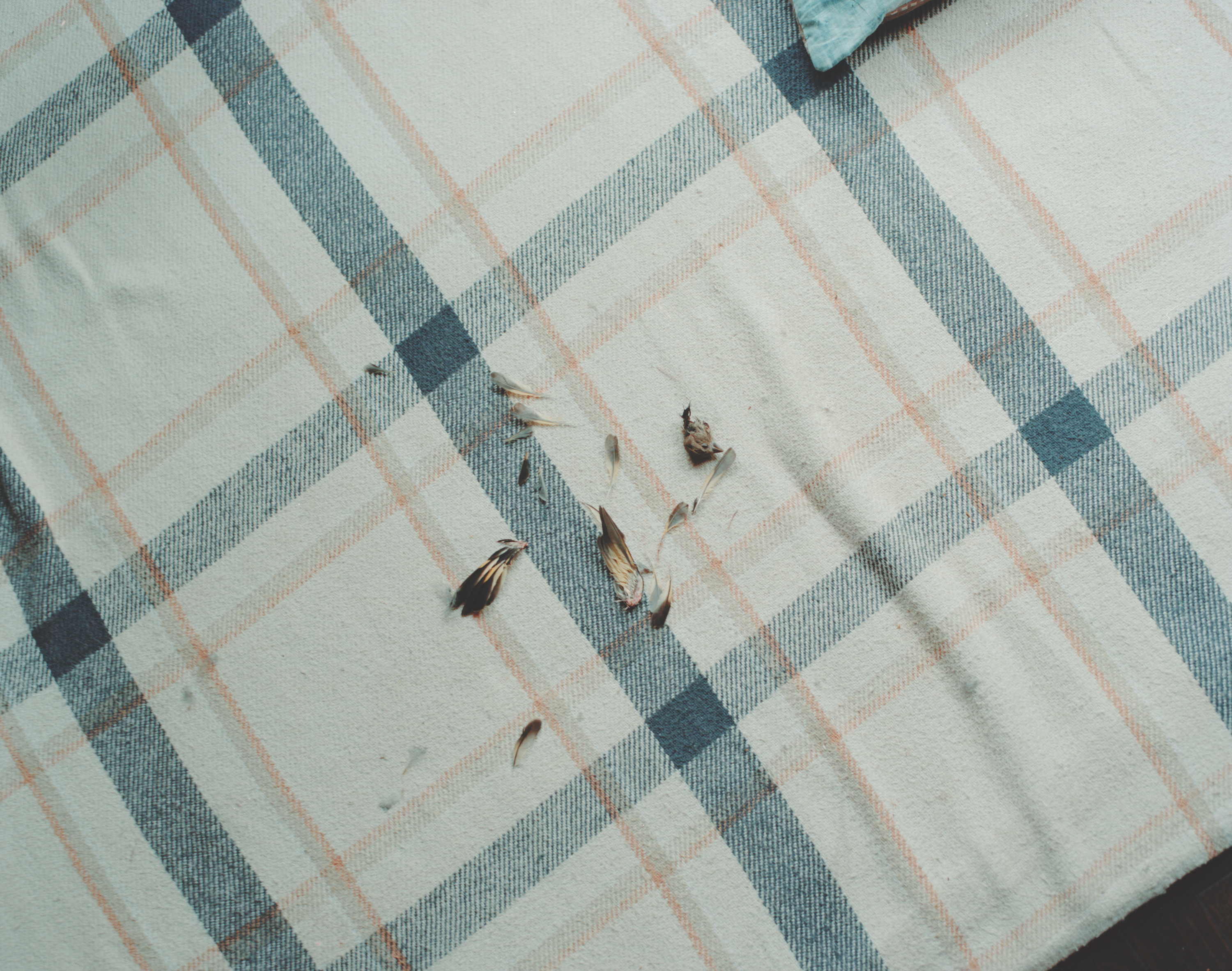 続　日々の隙間　2018