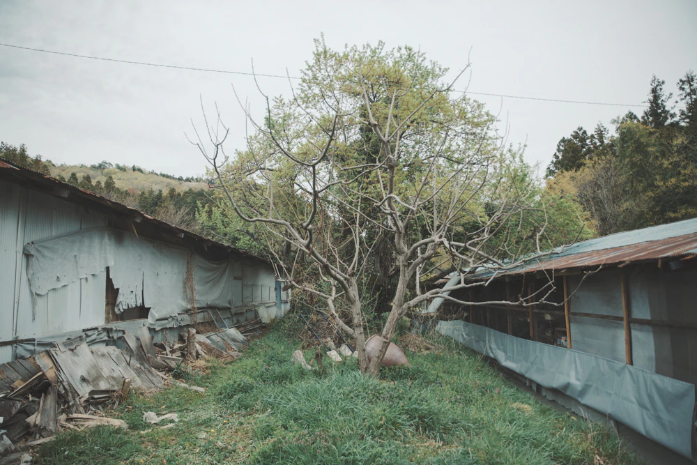 彫刻家 青木野枝氏