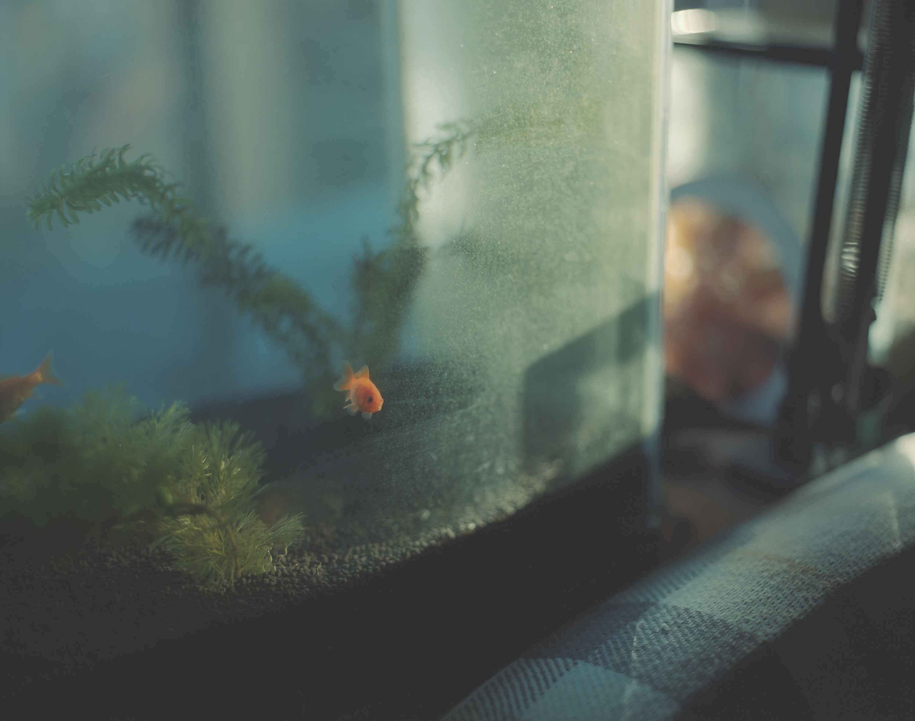 続　日々の隙間　2018