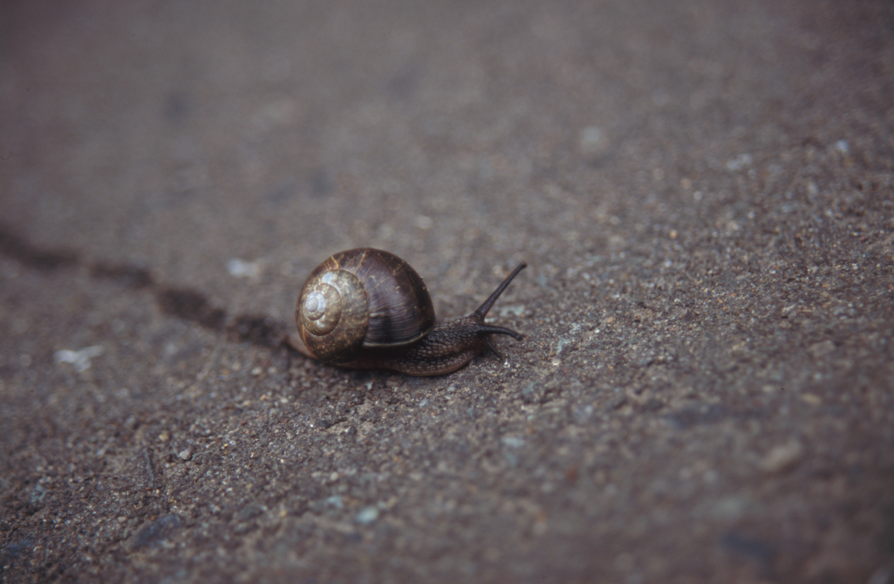 日々の隙間　2005