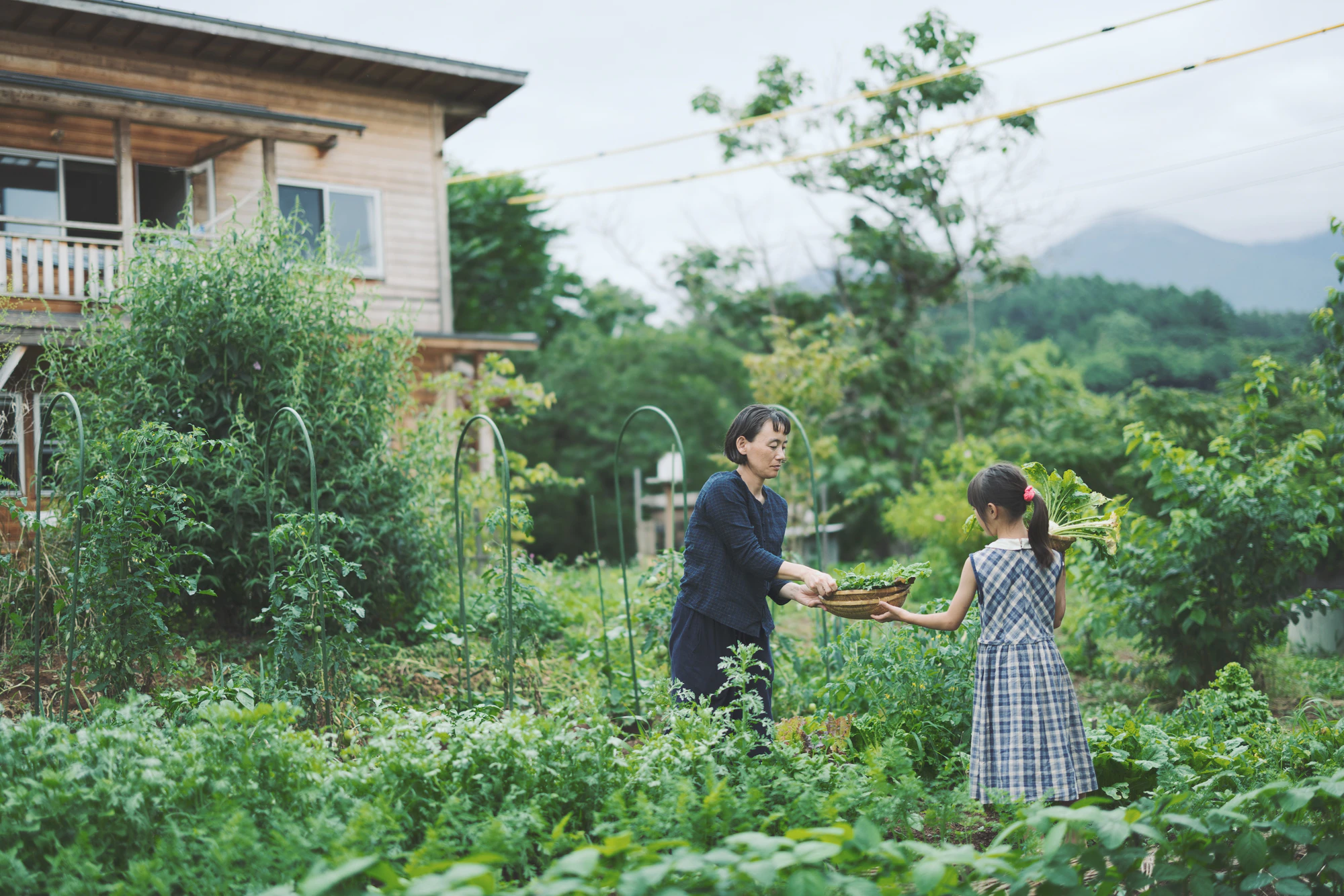 &Premium 10月号 “心地よい住まいを、考えてみた。” にて富士見町で暮らして今までの13年間の砺波家の軌跡を特集してもらいました。