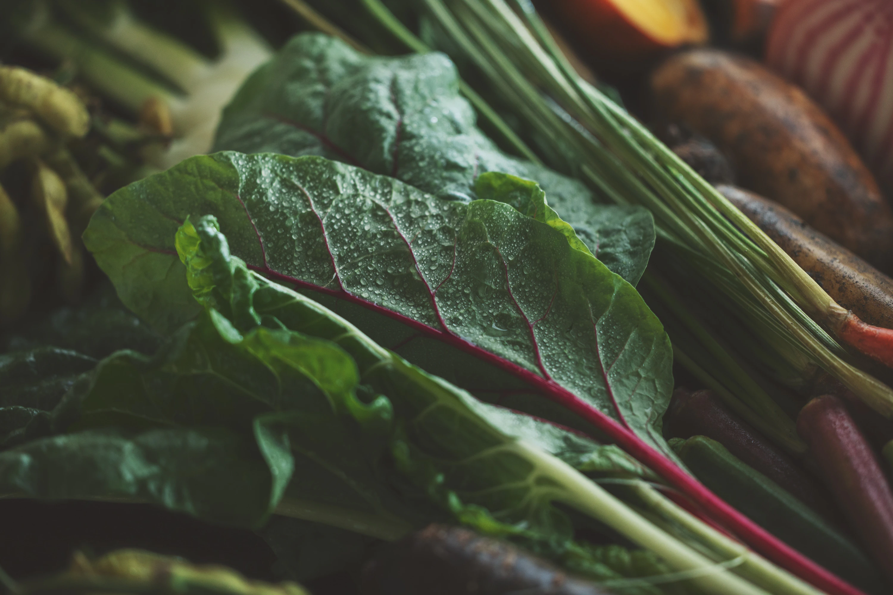 バーミキュラブランドサイト