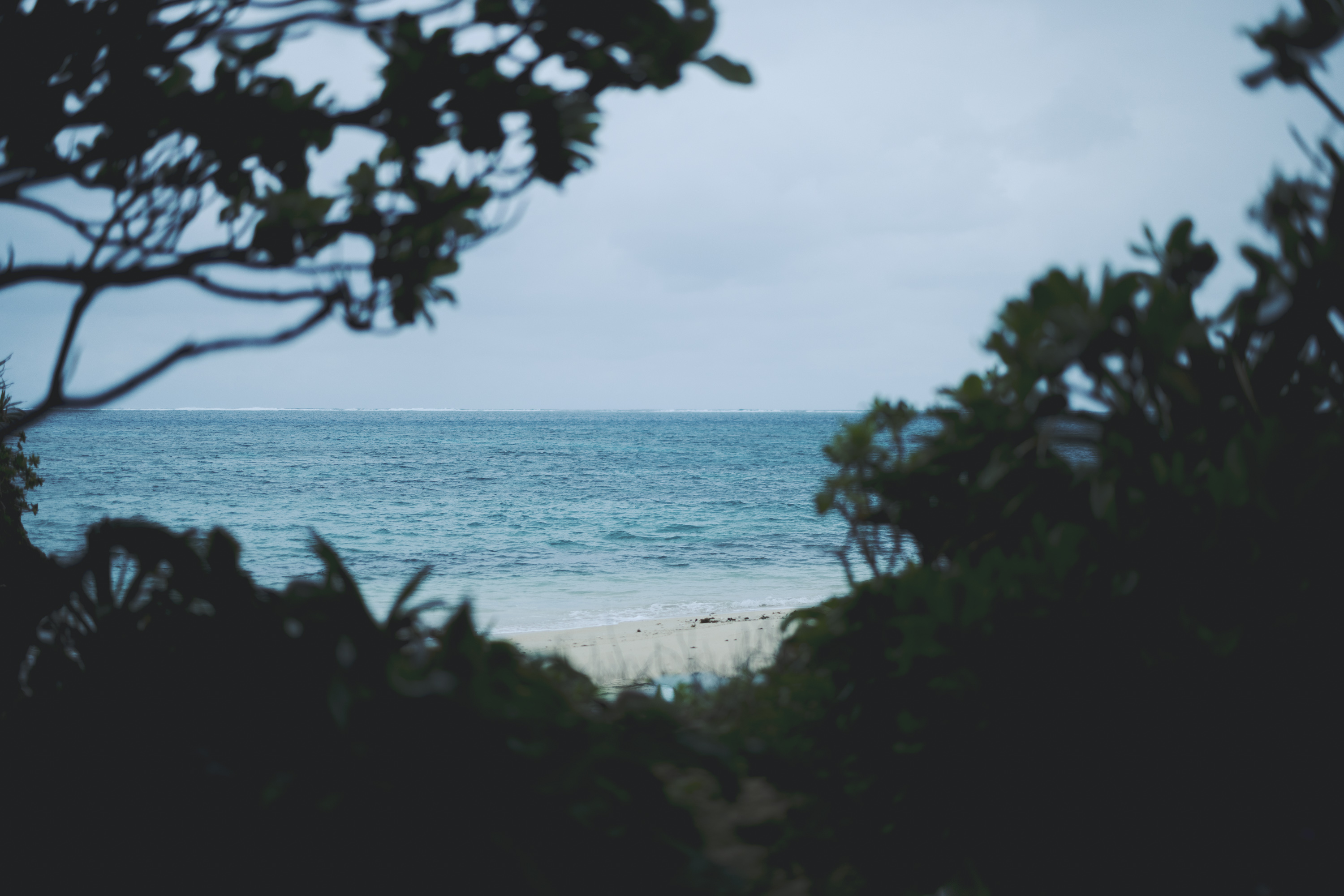 Jurgen Lehl & Babaghuri 2022 summer Collection