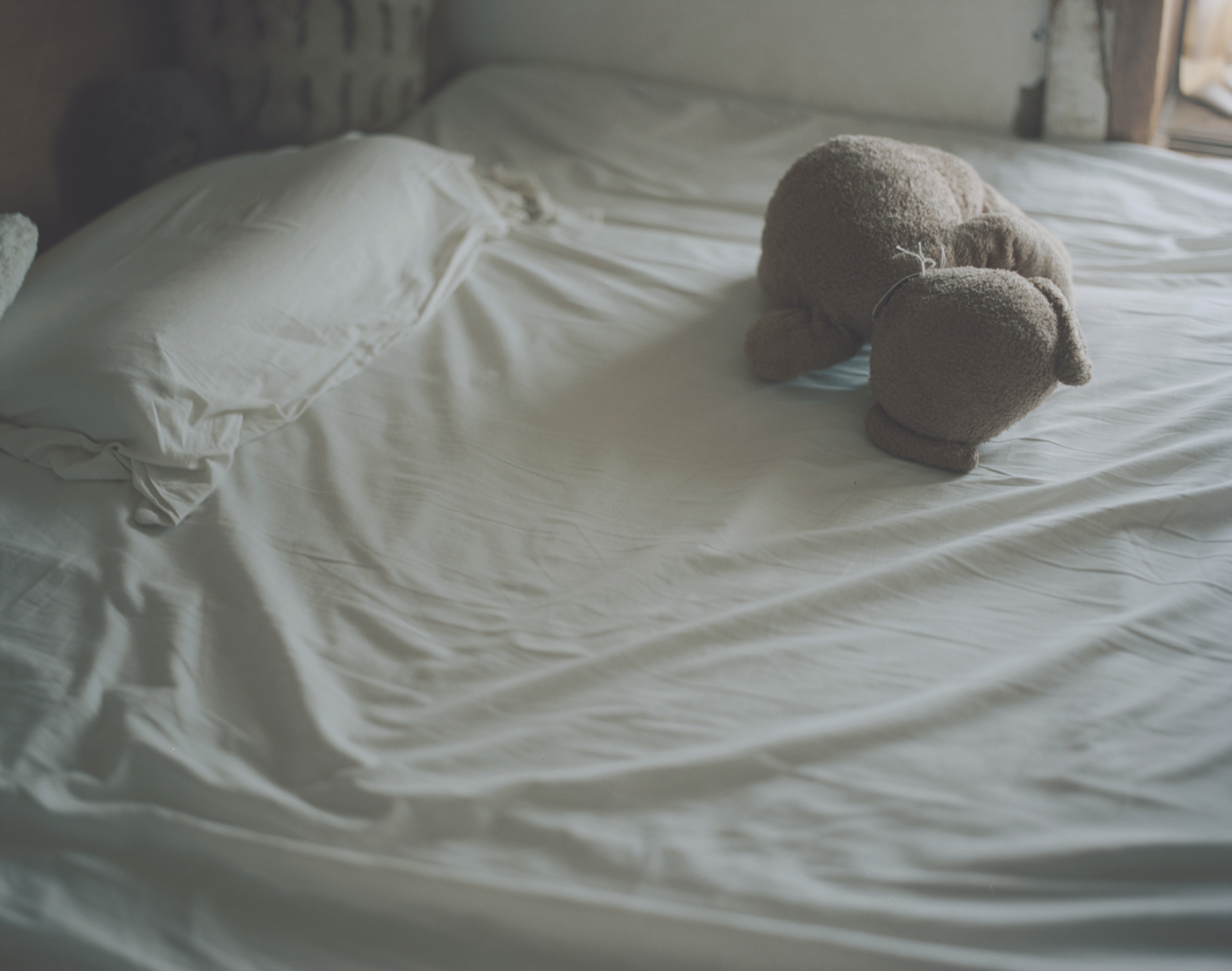 続　日々の隙間　2018