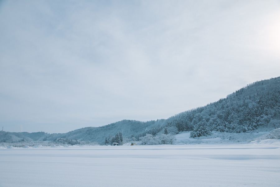【連載】dancyu 『食の絶滅危惧種』