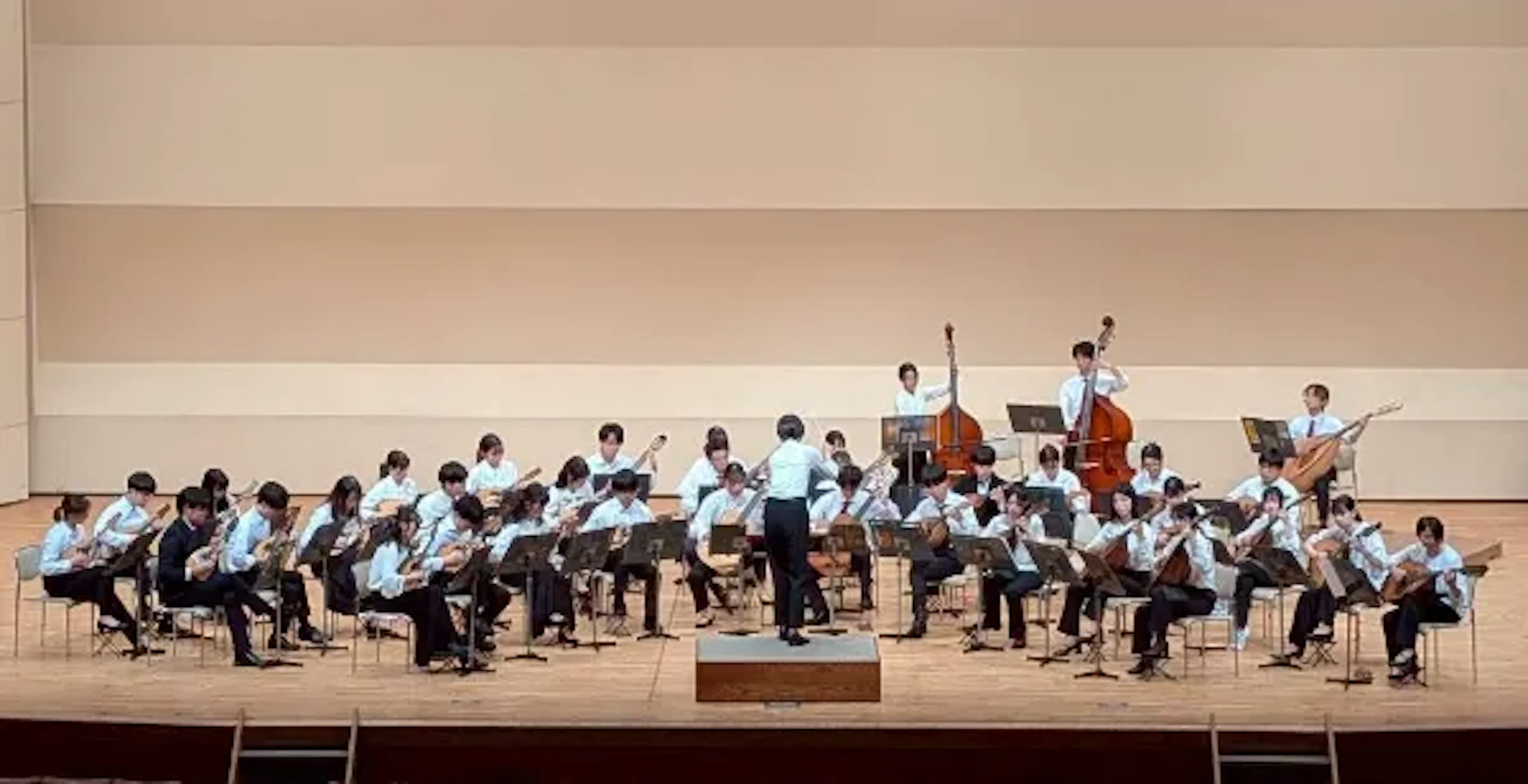 マンドリンクラブ 2026年版